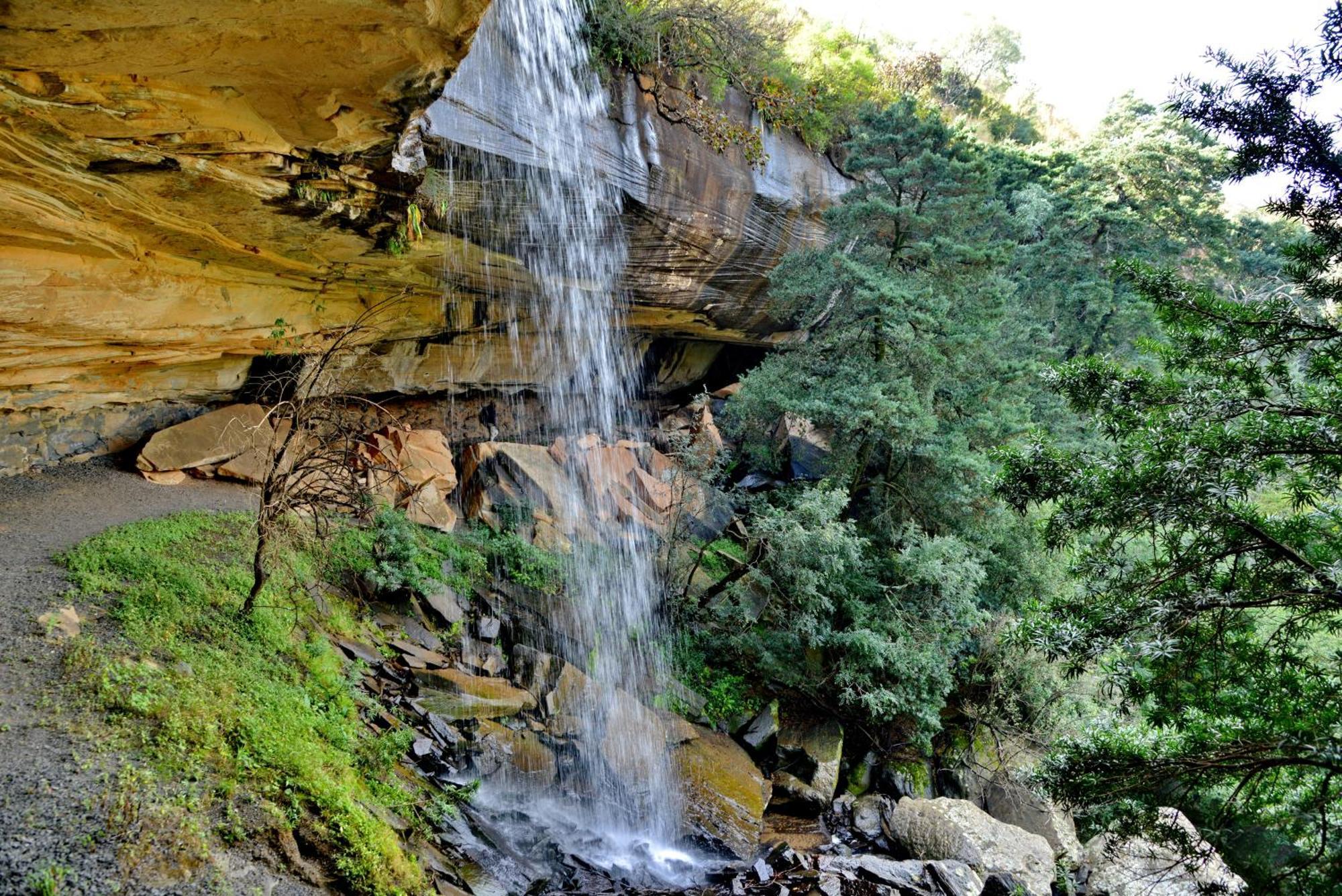 Montusi Mountain Lodge Bonjaneni Εξωτερικό φωτογραφία